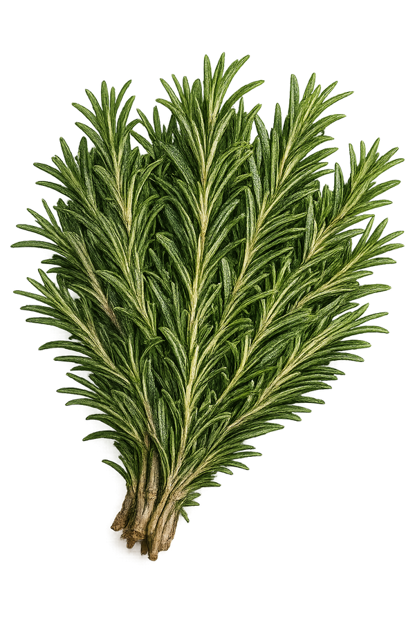 Rosemary