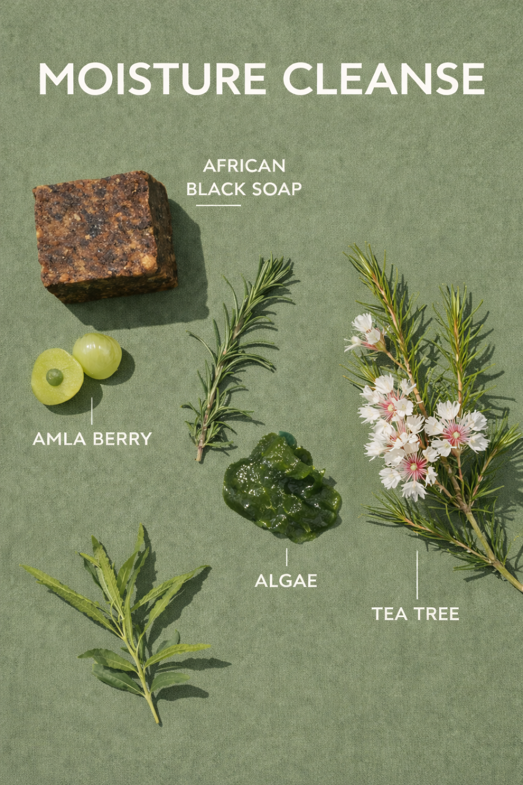 Moisture Cleanse Hydrating Herbal Shampoo