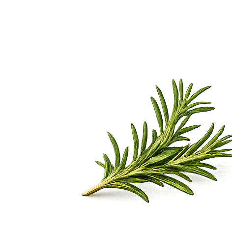 Rosemary